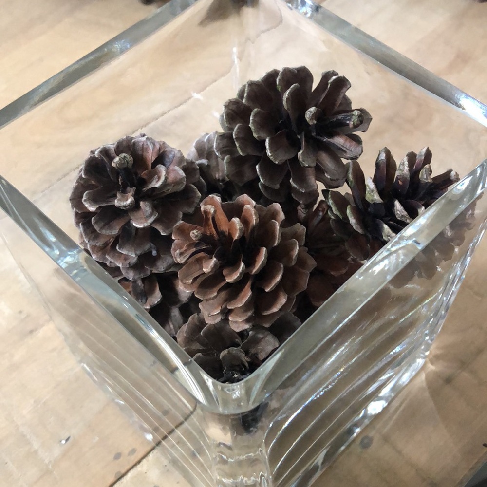 Beautiful Square Heavy Glass Vase with 1 Dozen (12) Northeast Pine Cones 7” Vase - Picture 2 of 8